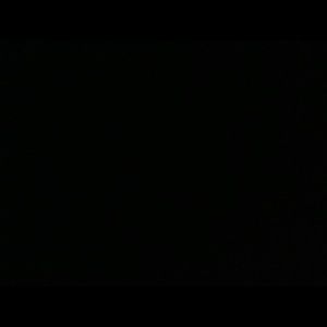 Meet your Posher, Stella